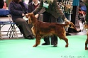 Crufts2011 359